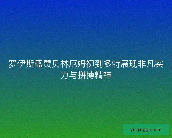 罗伊斯盛赞贝林厄姆初到多特展现非凡实力与拼搏精神