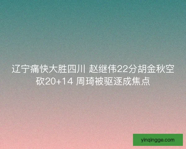 辽宁痛快大胜四川 赵继伟22分胡金秋空砍20+14 周琦被驱逐成焦点